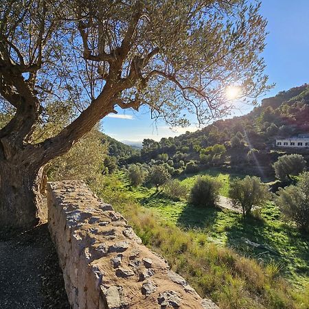 Agroturismo Finca Can Sec Alaró Kültér fotó