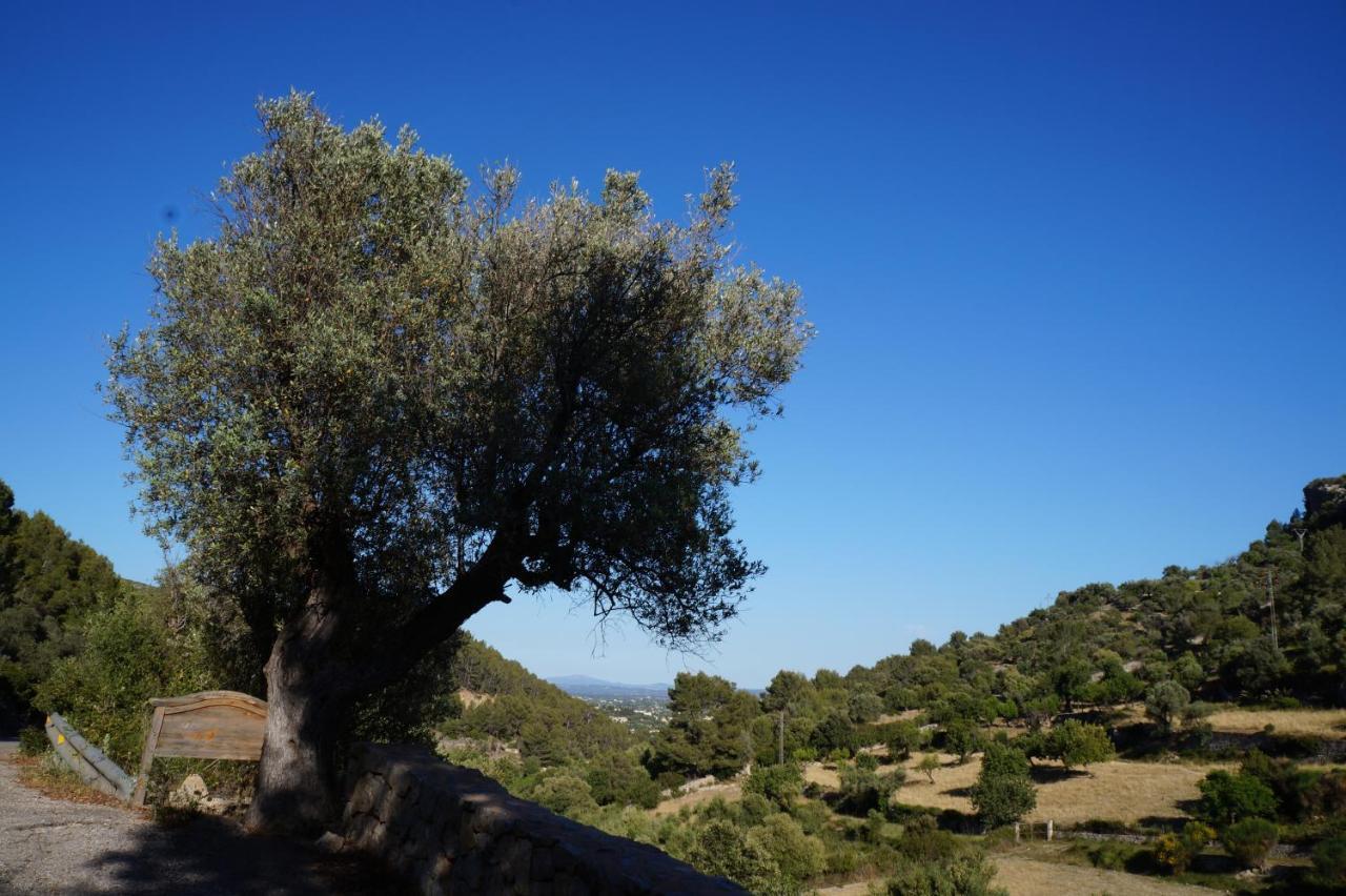 Agroturismo Finca Can Sec, Sl Vendégház Lloseta Kültér fotó