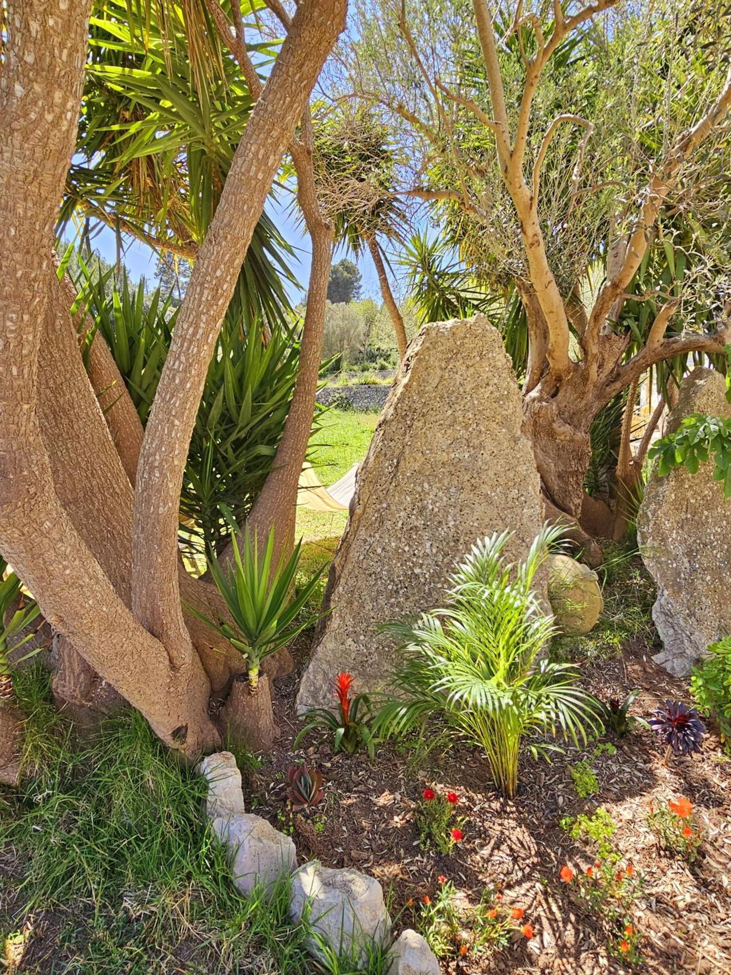 Agroturismo Finca Can Sec Alaró Kültér fotó