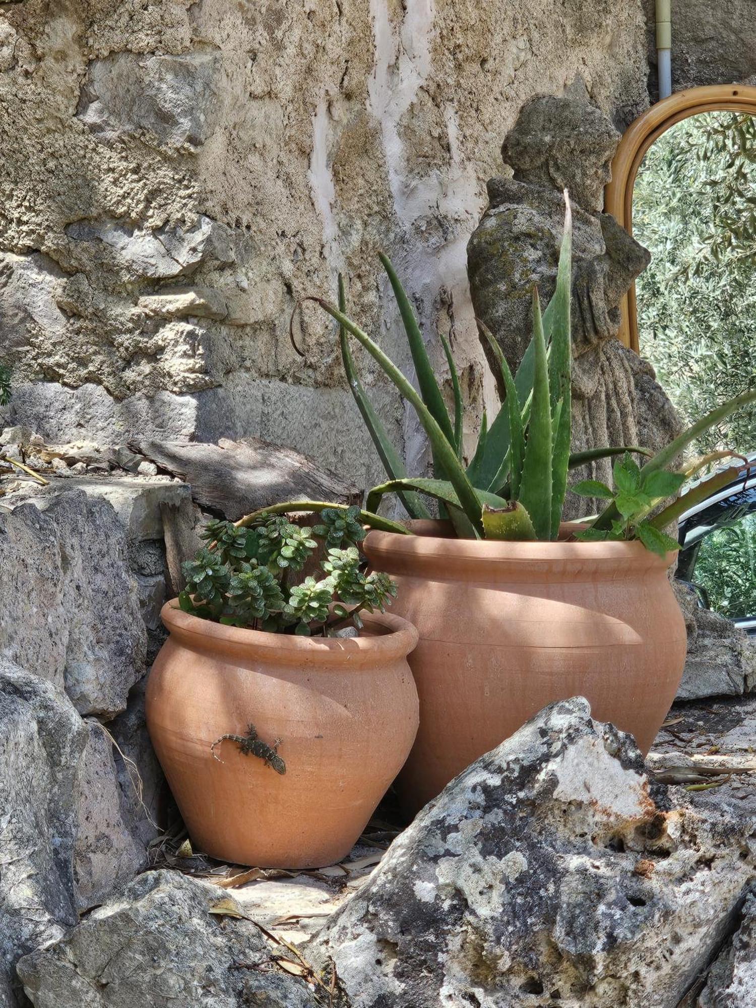 Agroturismo Finca Can Sec Alaró Kültér fotó